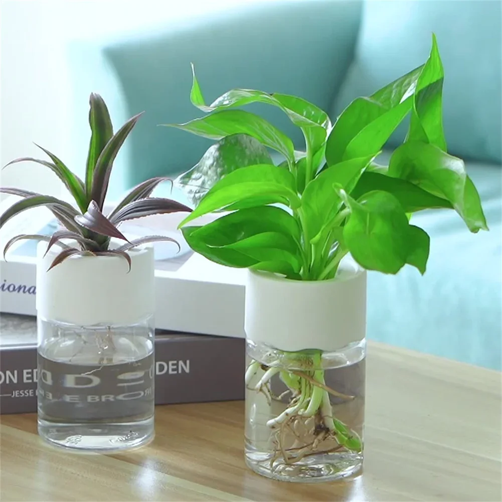 Hydroponic Grow Pod - Mini Vaso Hidropônico Transparente para Plantas