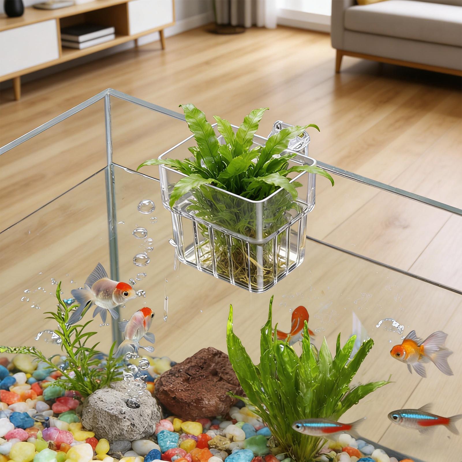 Hydroponic Grow Pod - Suporte Transparente Pendurável para Plantas de