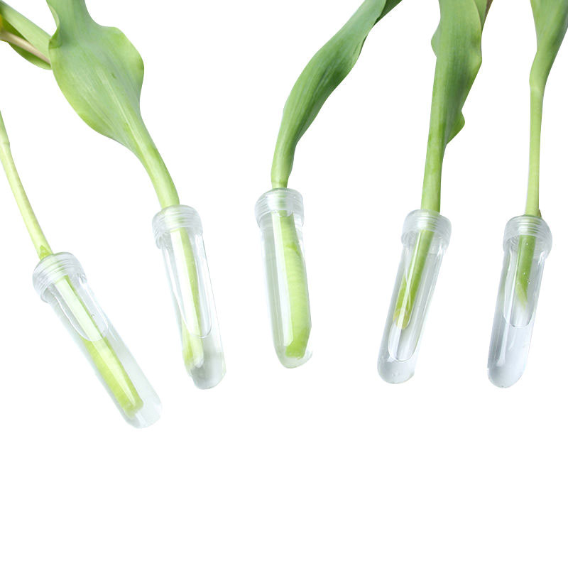 Tubo de nutrição de flor fresc - Hydroponic Grow Pod avaliação e preço