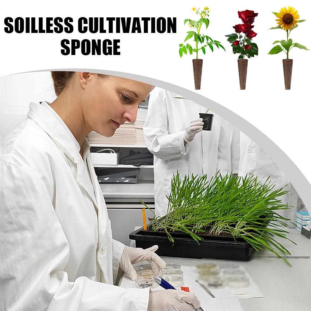 50 unidades de esponjas para c - Aerogarden Seed Pod avaliação e preço