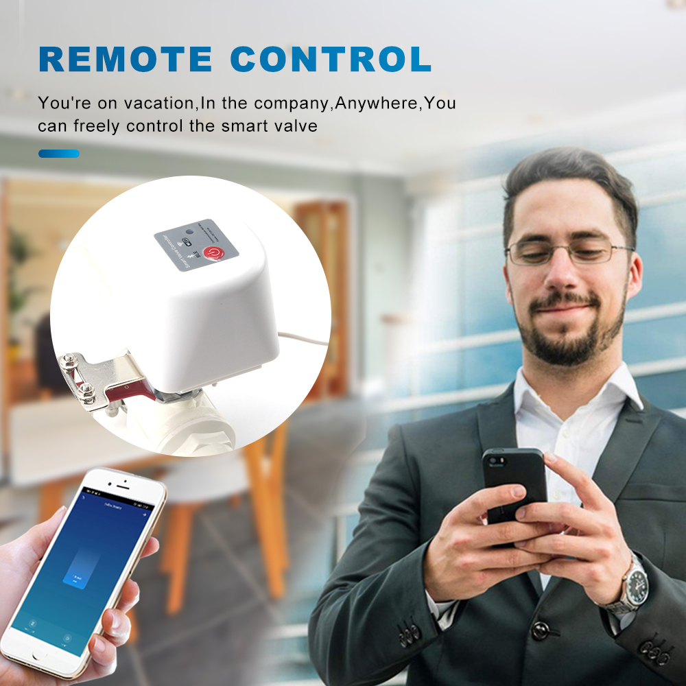 Tuya inteligente Wifi Gás Mani - Smart Garden Instructions avaliação e preço