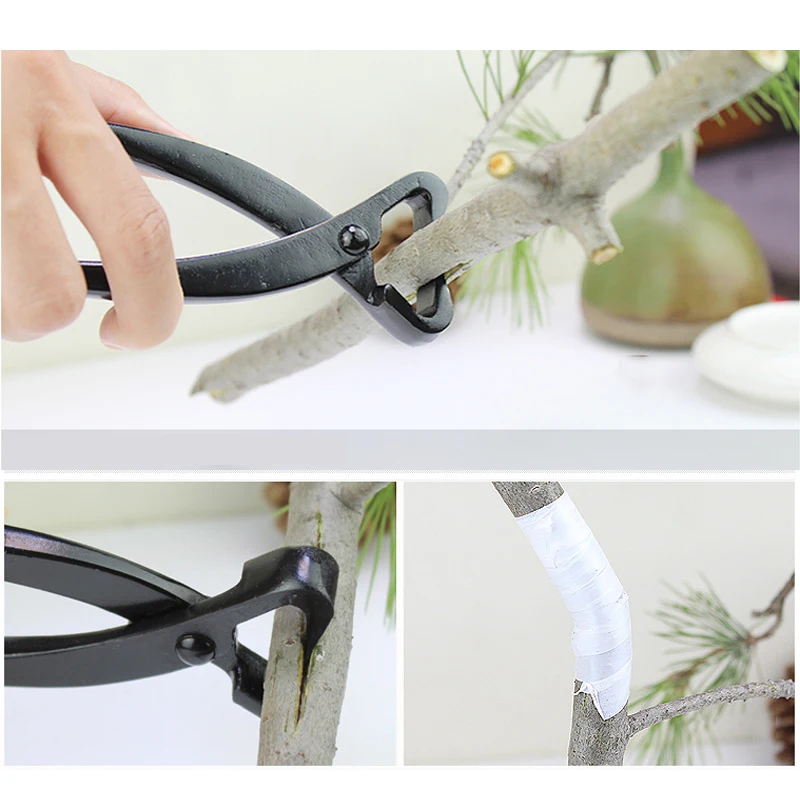 1 pçs profissional bonsai botã - Smart Garden Edging avaliação e preço