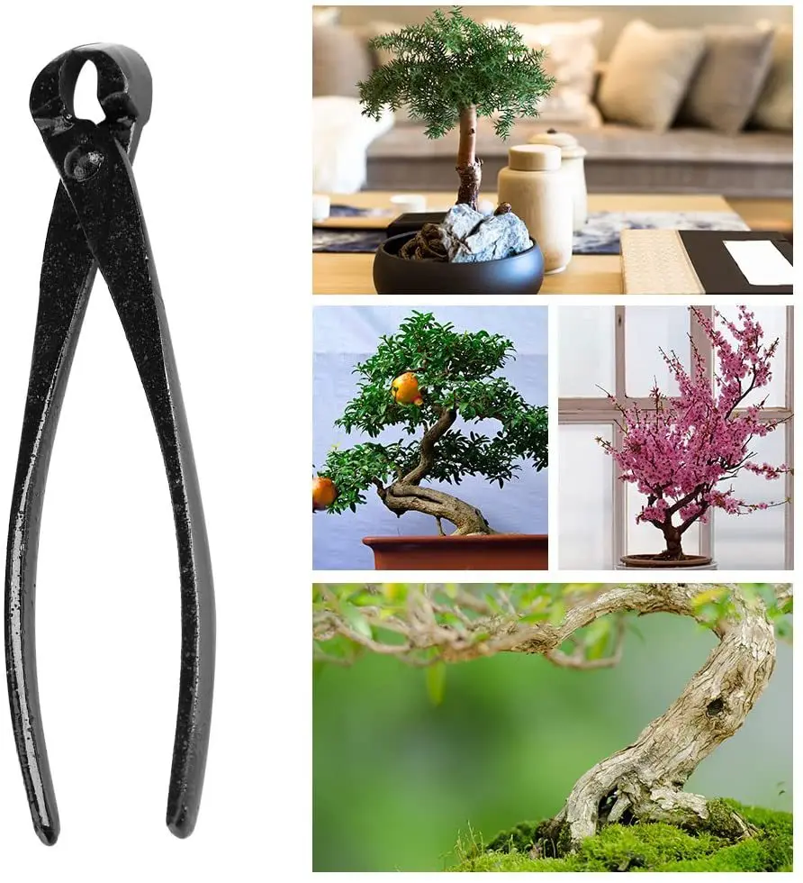 1 pçs profissional bonsai botã - Smart Garden Edging avaliação e preço