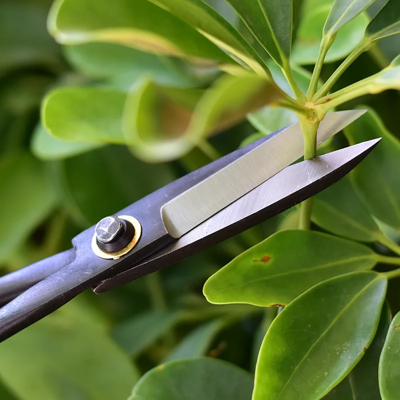 1 pçs profissional bonsai botã - Smart Garden Edging avaliação e preço