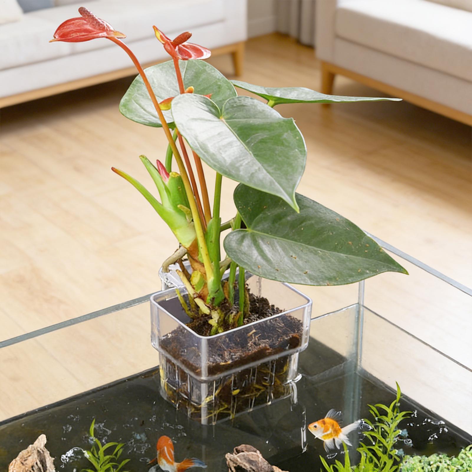 Suporte Transparente Penduráve - Hydroponic Grow Pod avaliação e preço