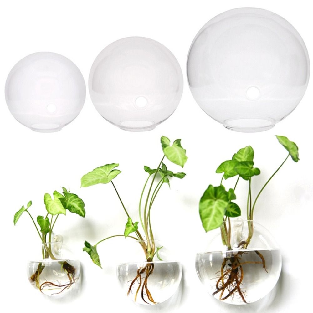 Vaso De Vidro Transparente, Su - Hydroponic Grow Pod avaliação e preço