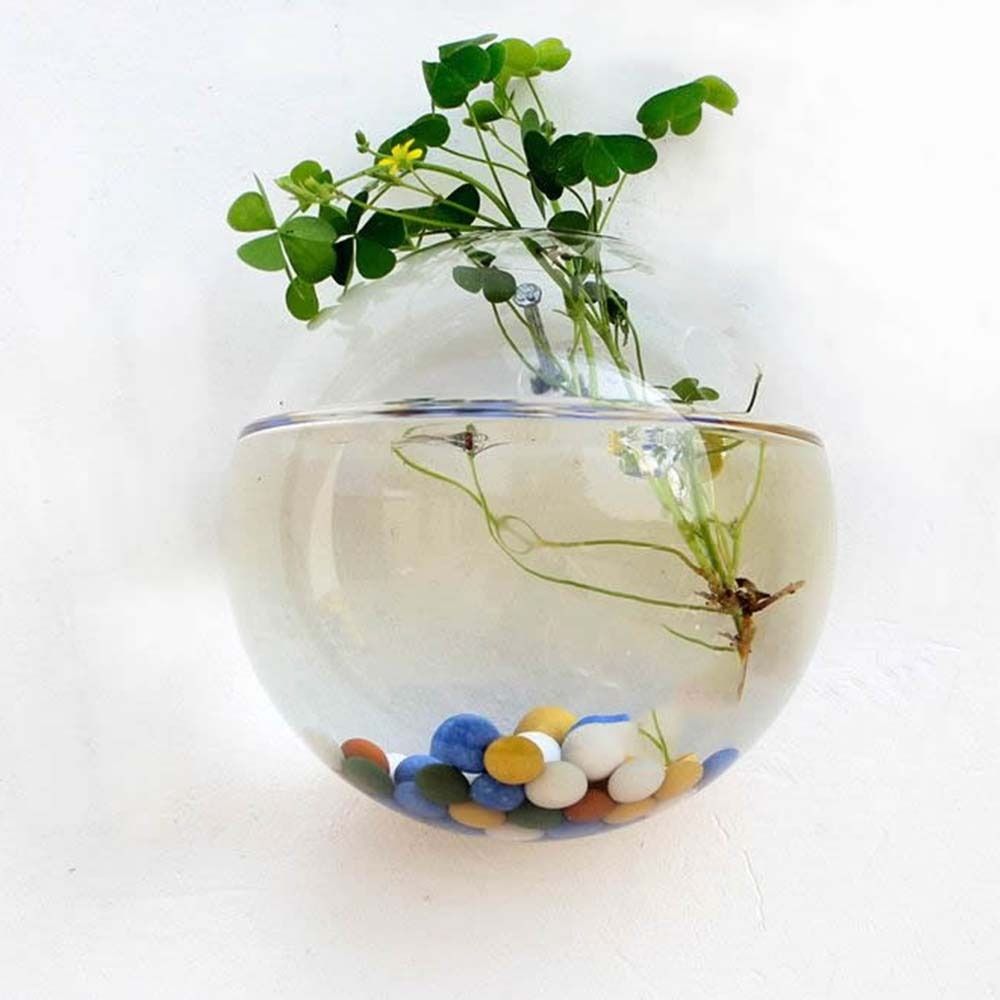 Vaso De Vidro Transparente, Su - Hydroponic Grow Pod avaliação e preço