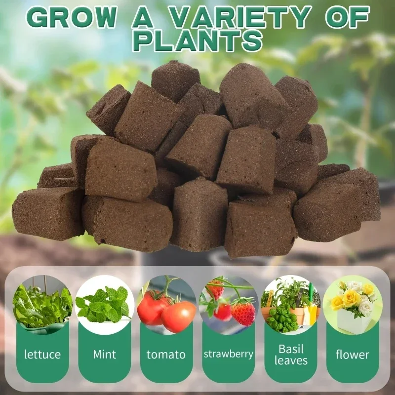Kit de Esponjas para Germinaçã - Hydroponic Grow Pod avaliação e preço