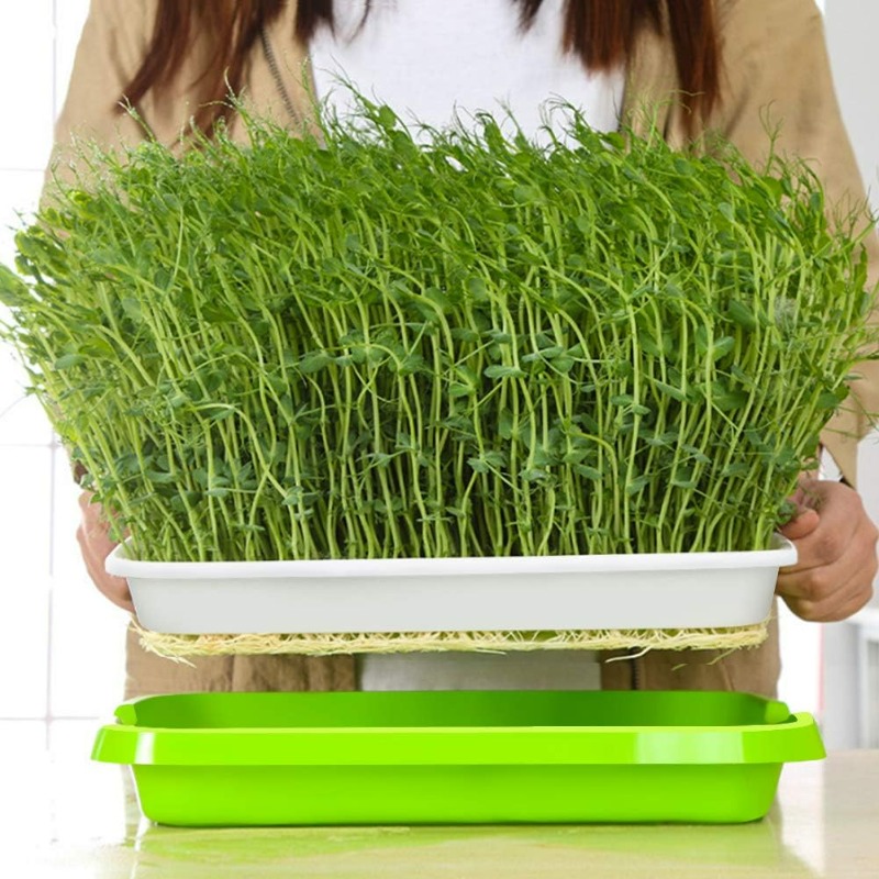 Bandeja de Germinação para Mic - Hydroponic Grow Pod avaliação e preço