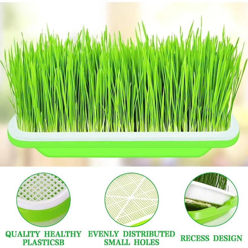 Bandeja de Germinação para Mic - Hydroponic Grow Pod avaliação e preço