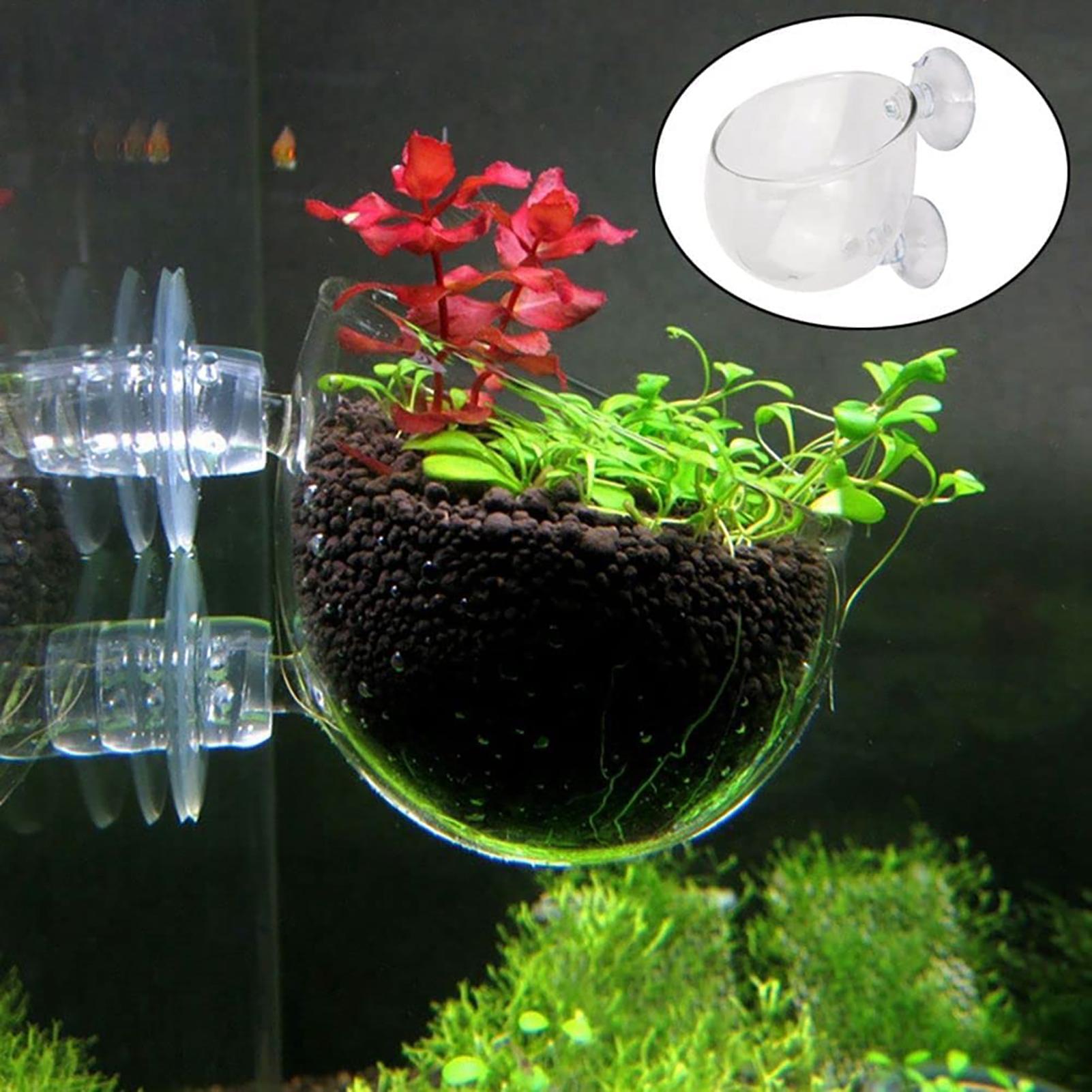 Vaso de plantas aquáticas, pla - Hydroponic Grow Pod avaliação e preço