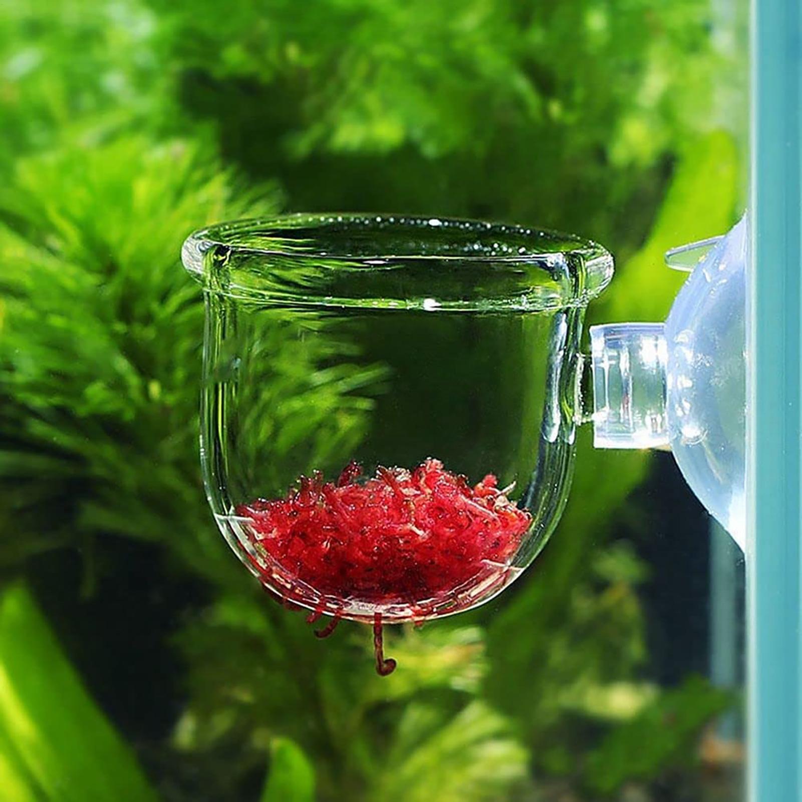 Vaso de plantas aquáticas, pla - Hydroponic Grow Pod avaliação e preço