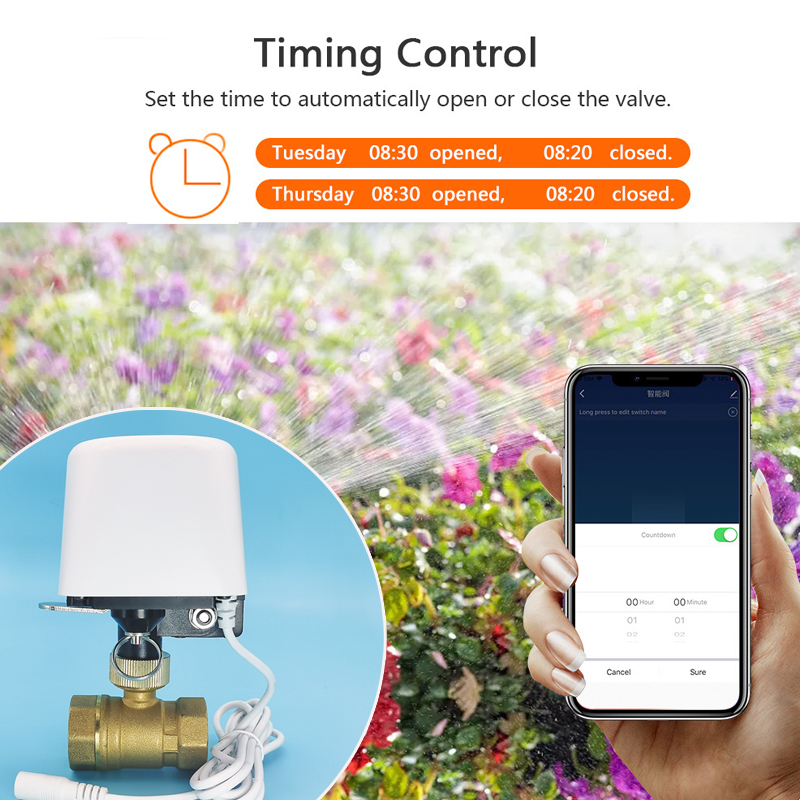 Válvula de Água Tuya Zigbee Wi - Smart Garden Home Assistant avaliação e preço