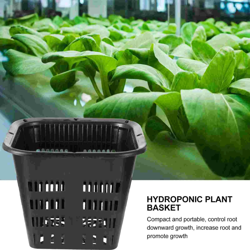 6 Peças de Cestos de Cultivo H - Hydroponic Grow Pod avaliação e preço