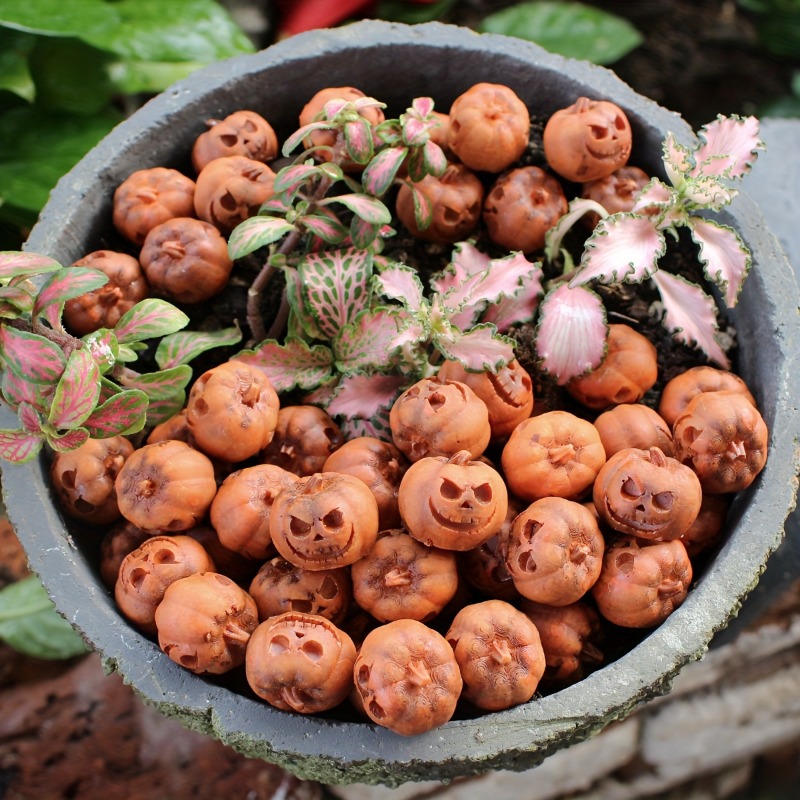 Abóboras de resina em miniatur - Smart Garden Mini avaliação e preço