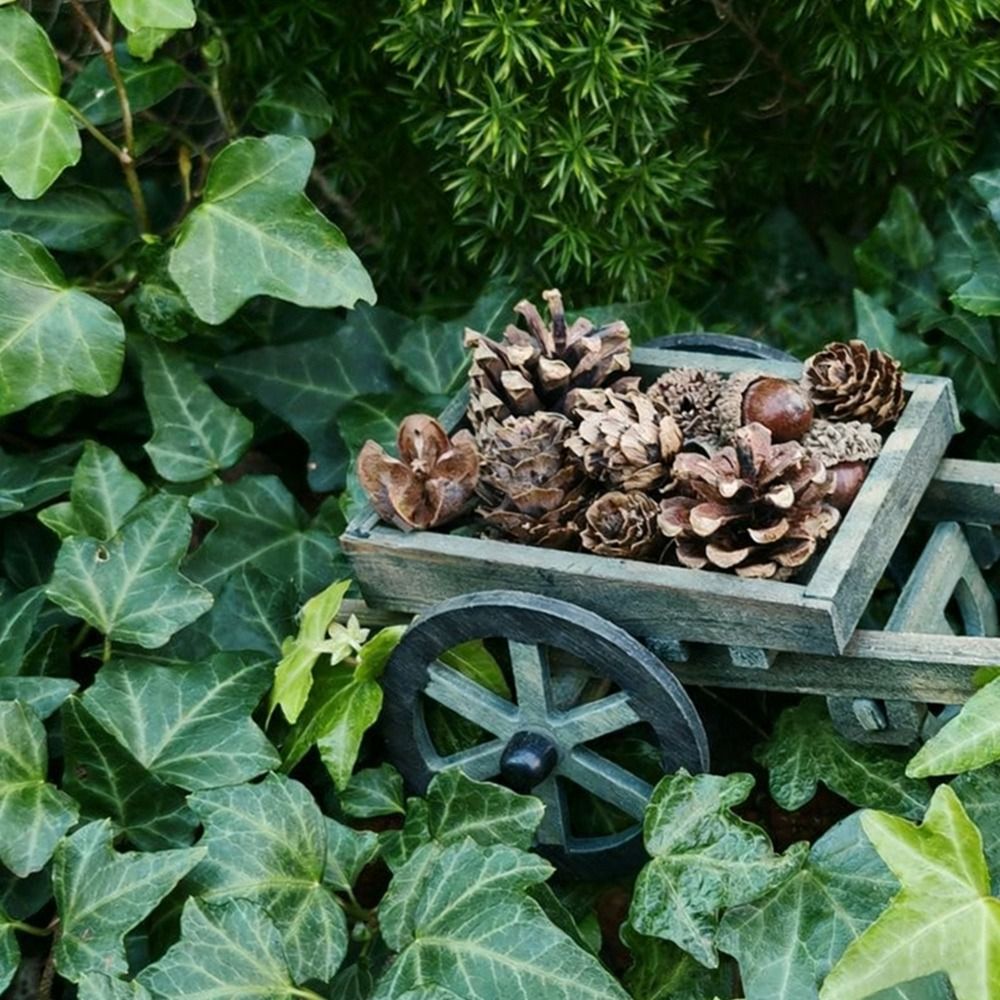 Alta qualidade escala 1:12 cas - Smart Garden Mini avaliação e preço