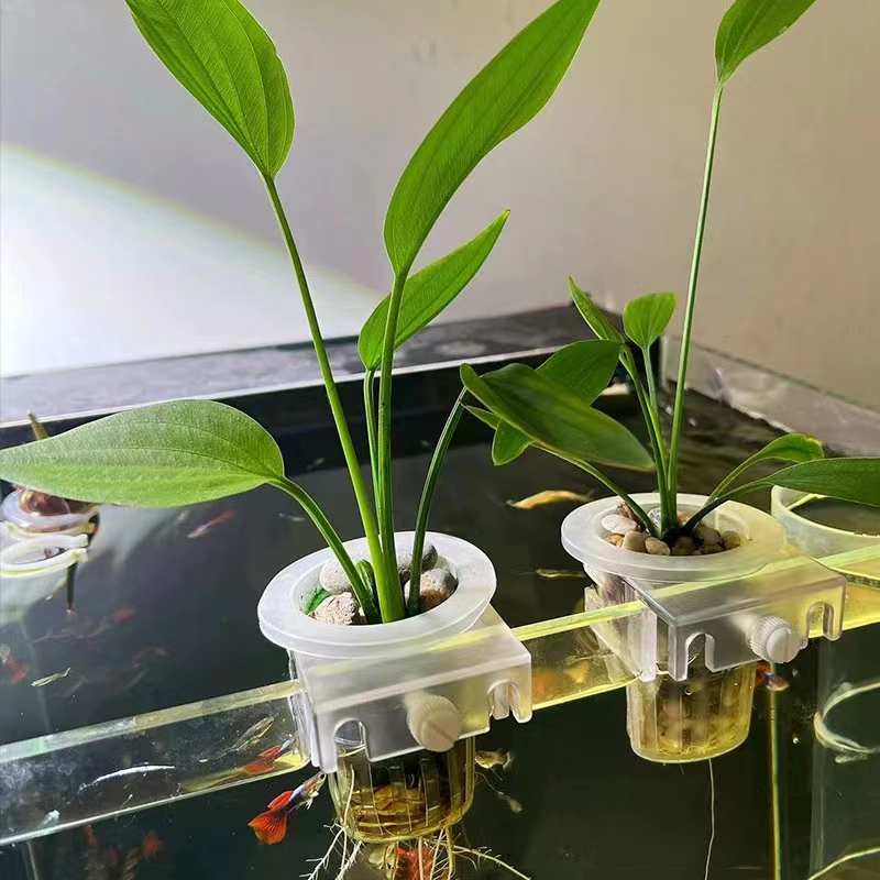 Cesta de plantio de aquário, s - Hydroponic Grow Pod avaliação e preço